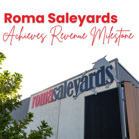 Roma Sale Yards (2).png
