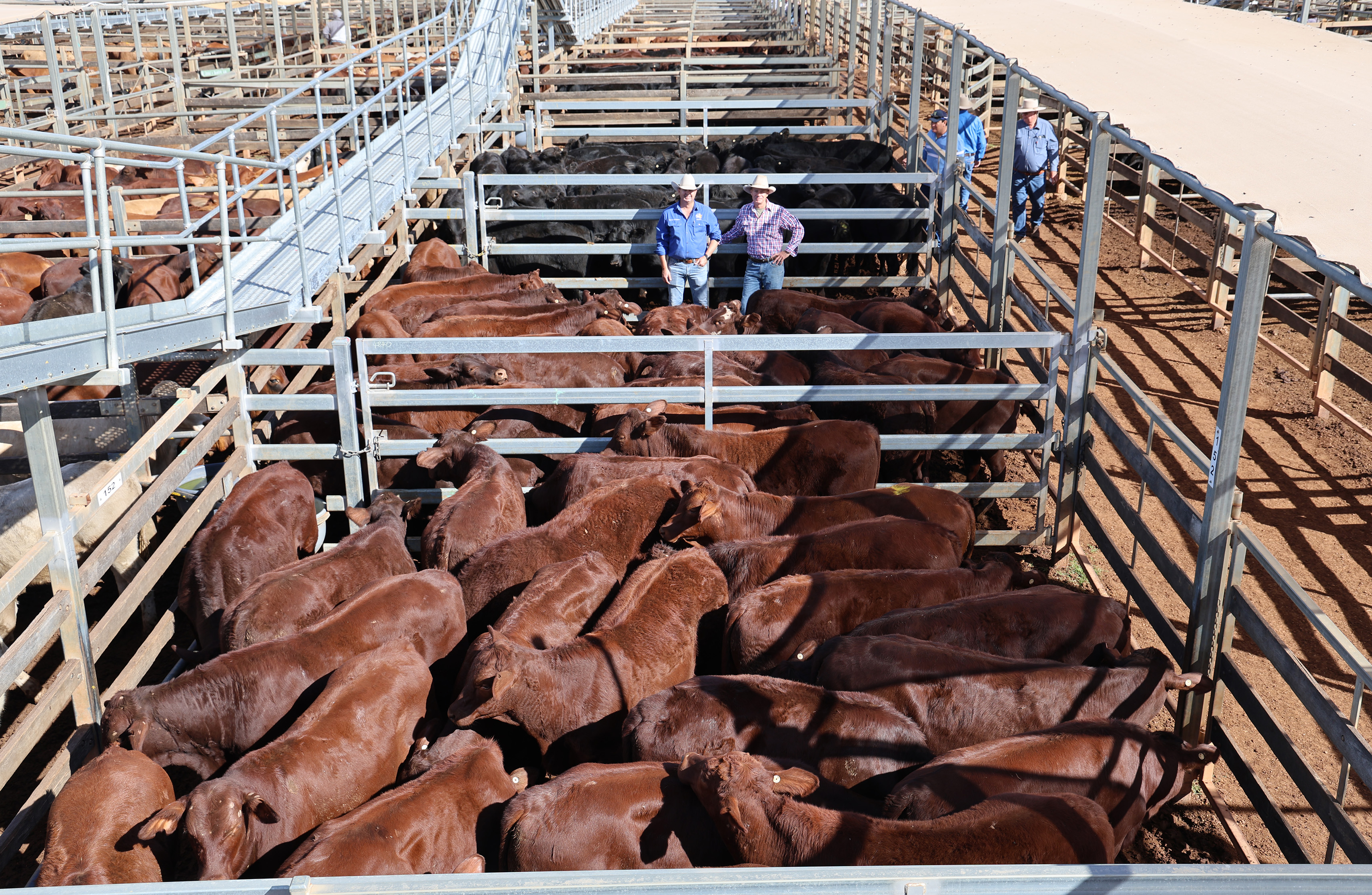 TopX livestock agent Carl Warren and vendor Huck Allen..jpg