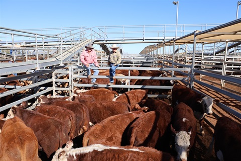 Elders auctioneer Peter Fleming and vendor Greg Seawright..jpg
